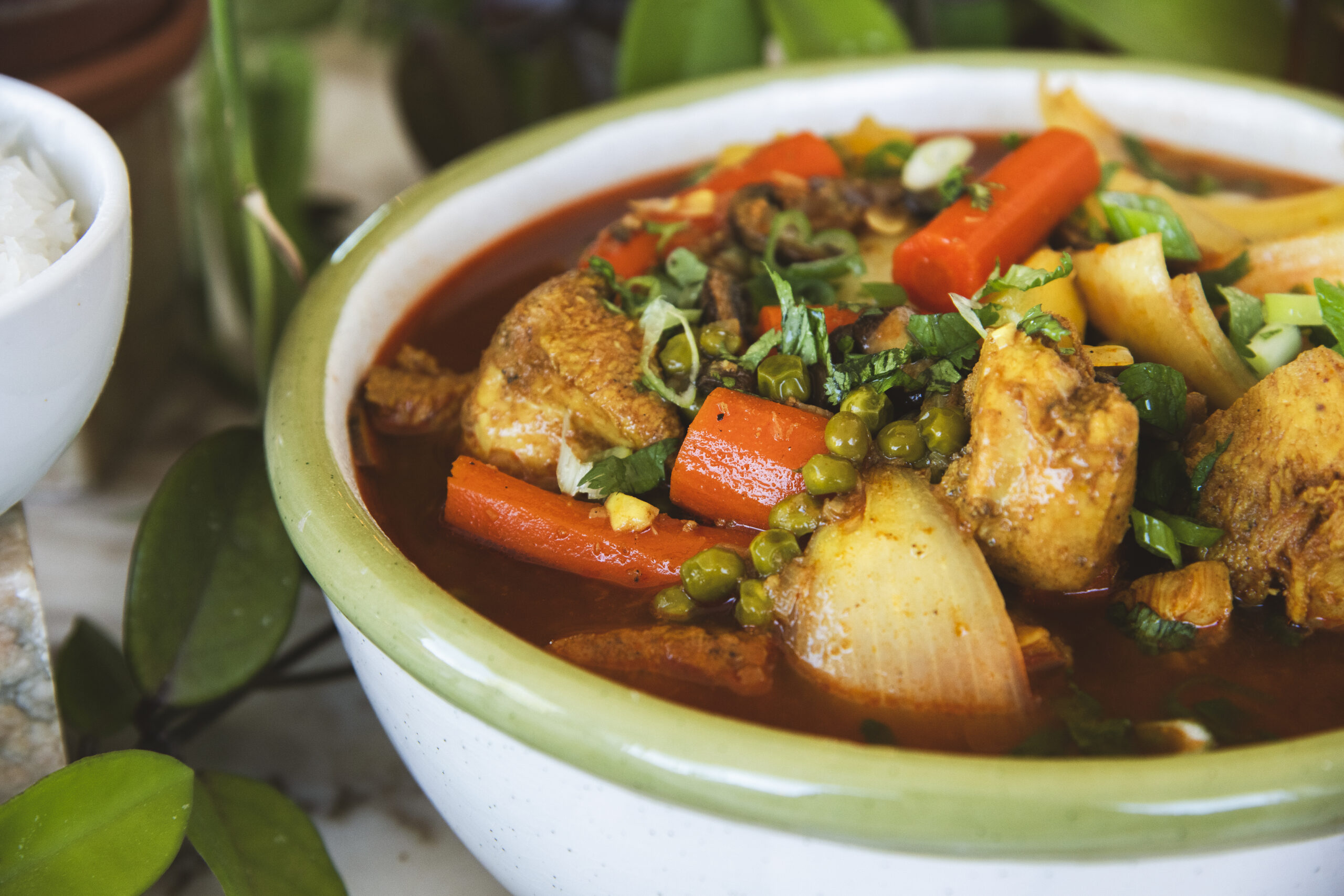 Vietnamese Chicken Ragu