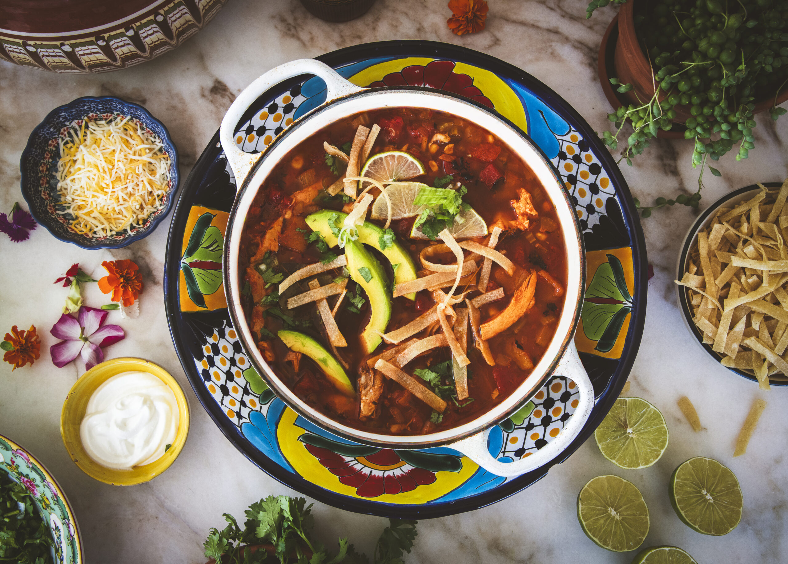 Chicken Tortilla Soup 