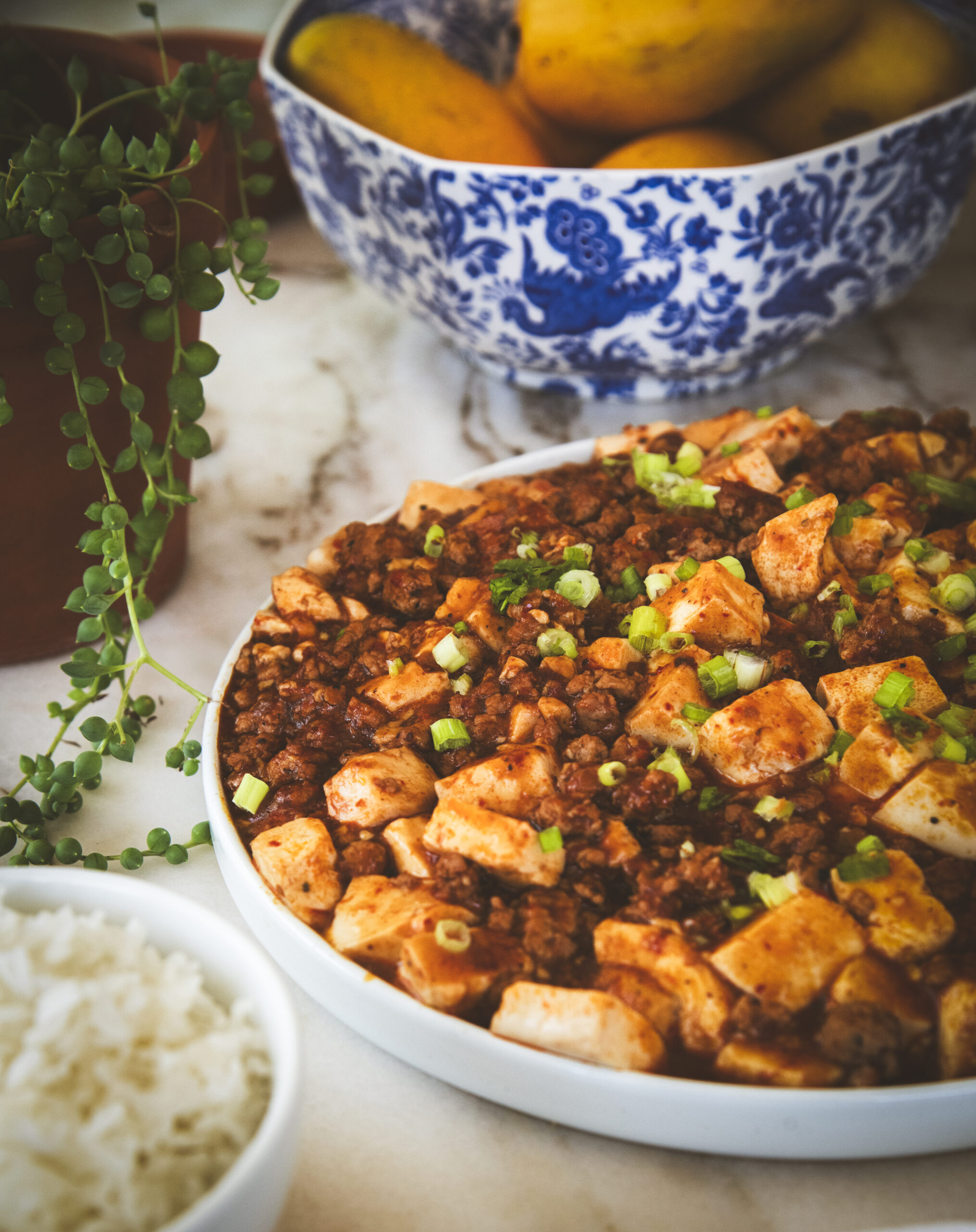 Mapo Tofu